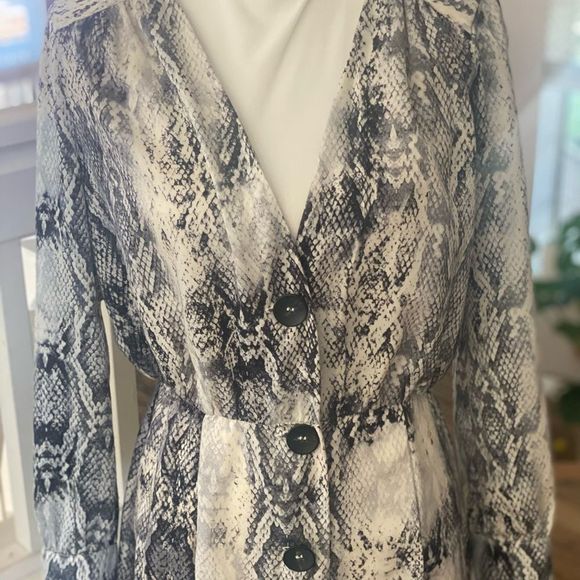 Zara Snake Skin Print Button Down Dress. - Picture 10 of 11